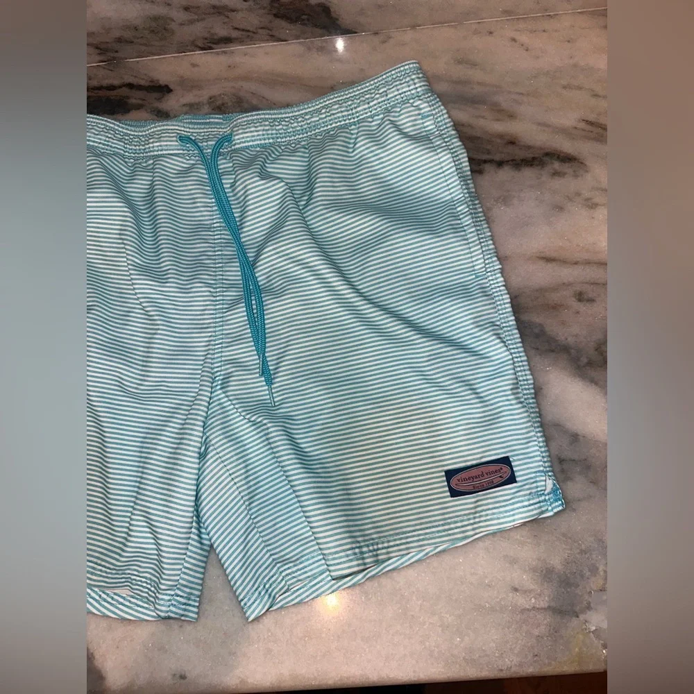 Vineyard Vines Size Large Men's Striped Swim Shorts - Blue‎